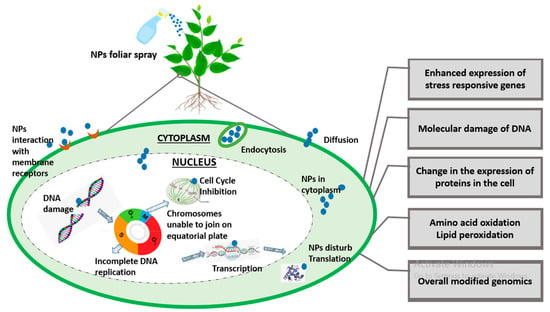 Agronomy 13 02112 g002 550