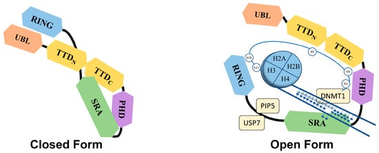 Molecules 28 05997 g002 550