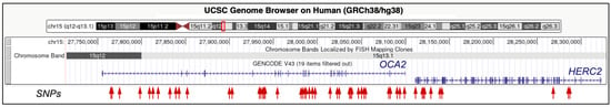 Genes 14 01604 g001 550