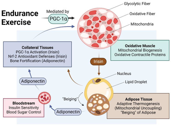 Bioengineering 10 00956 g002 550