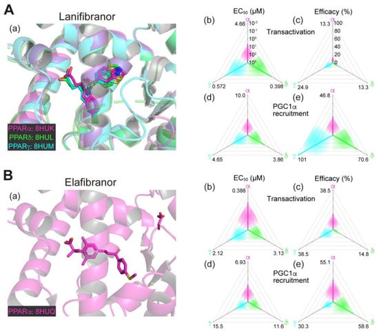 Biomolecules 13 01264 g001a