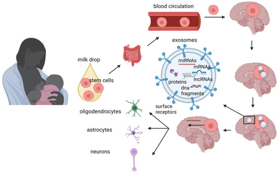 Nutrients 15 03614 g002