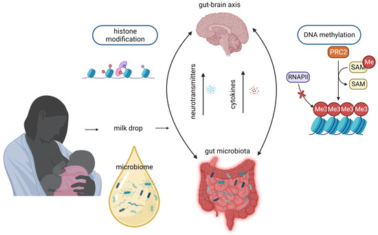 Nutrients 15 03614 g003