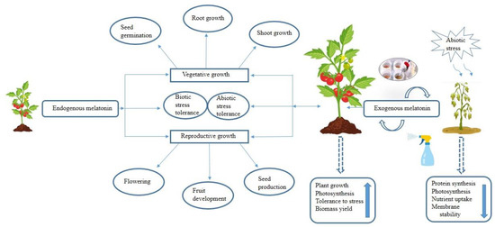 Plants 12 02948 g001