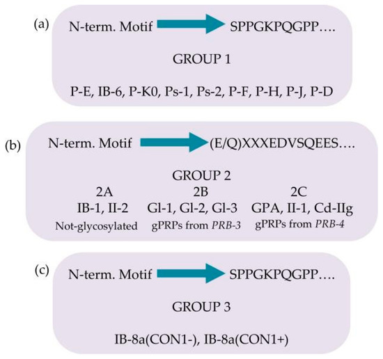 Ijms 24 12776 g003