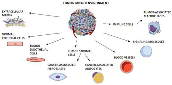 Cancers 15 04250 g003