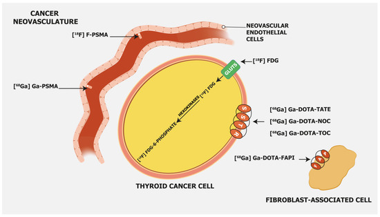 Cancers 15 04290 g001