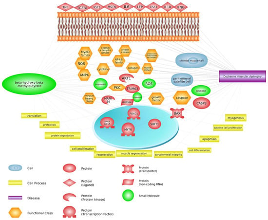 Biomedicines 11 02329 g001