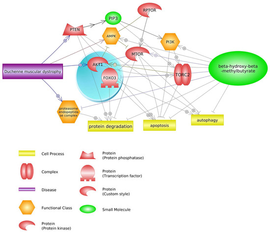 Biomedicines 11 02329 g002