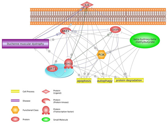 Biomedicines 11 02329 g003