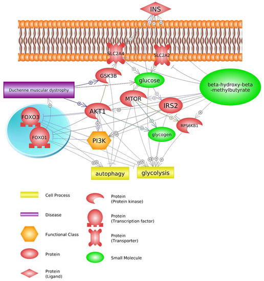 Biomedicines 11 02329 g004