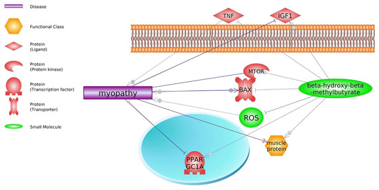 Biomedicines 11 02329 g005