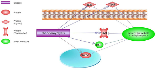 Biomedicines 11 02329 g006