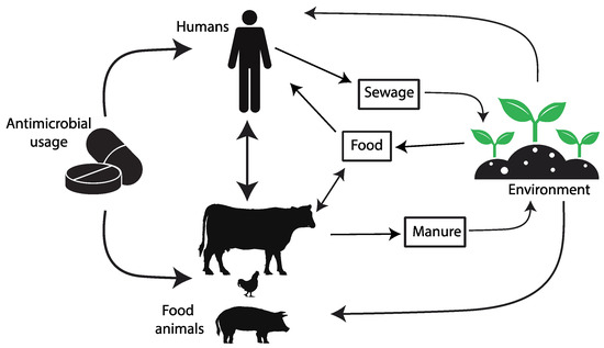 Pathogens 12 01074 g001