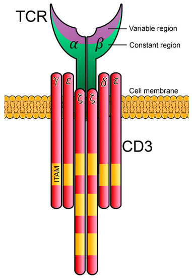 Biology 12 01163 g001