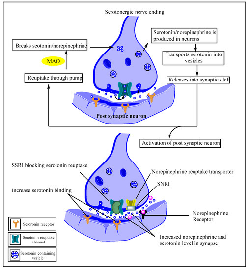 Pharmaceutics 15 02208 g001