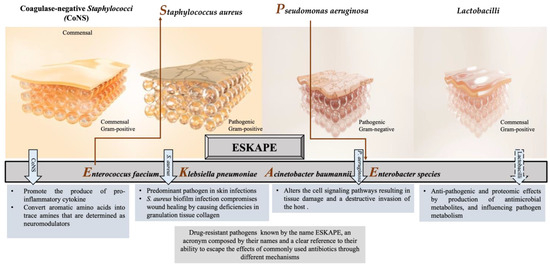 Biology 12 01187 g001