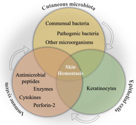 Biology 12 01187 g002