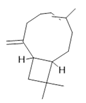 Molecules 28 06411 i017