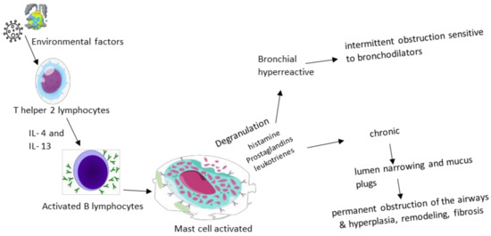 Biomedicines 11 02429 g001