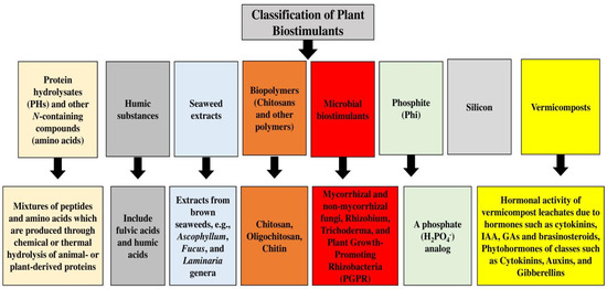 Plants 12 03101 g001