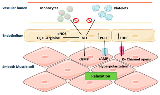 Molecules 28 06403 g007