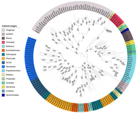 Genes 14 01741 g002