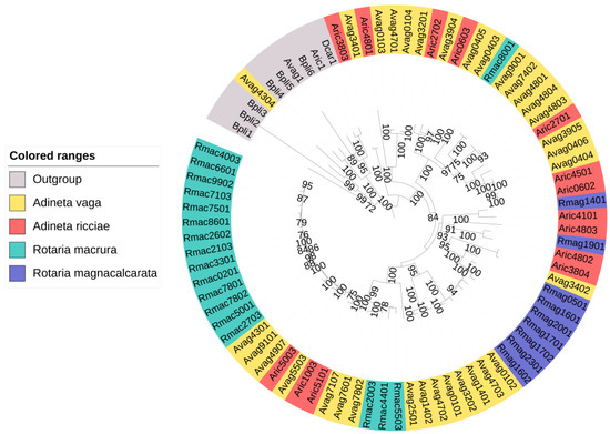 Genes 14 01741 g003