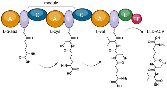 Genes 14 01741 g006