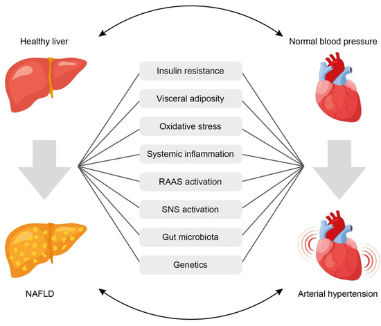 Biomedicines 11 02465 g001