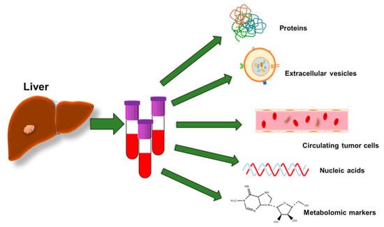 Biomolecules 13 01369 g001