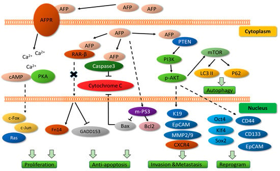 Biomolecules 13 01369 g002