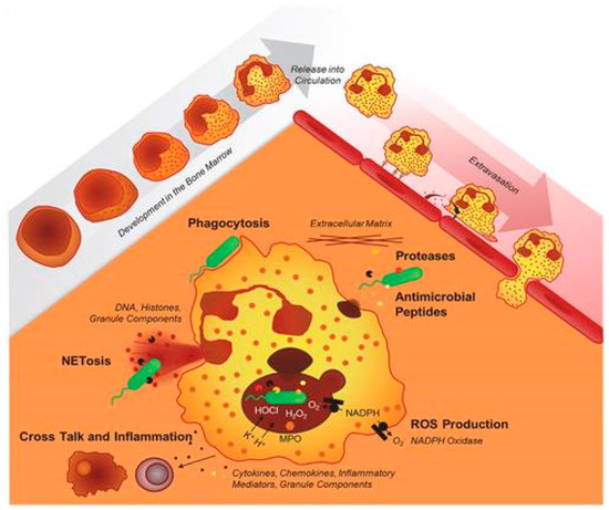 Microorganisms 11 02233 g001