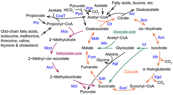 Molecules 28 06667 g001