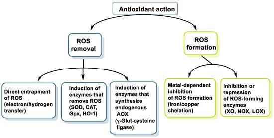 Processes 11 02771 g002