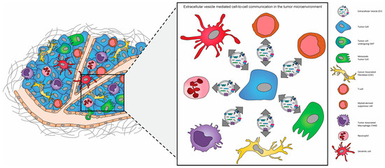 Biomedicines 11 02534 g002