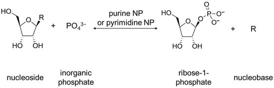 Biomolecules 13 01375 g003