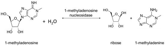 Biomolecules 13 01375 g004