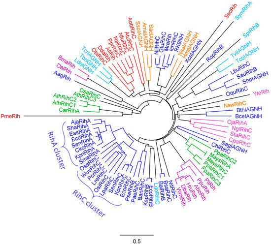 Biomolecules 13 01375 g007