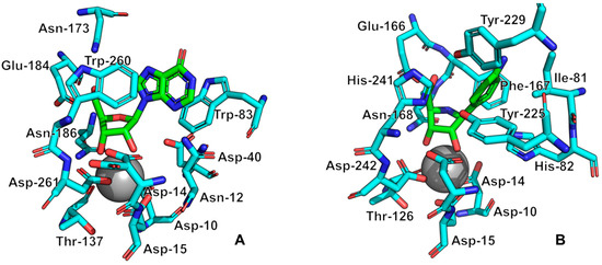 Biomolecules 13 01375 g009