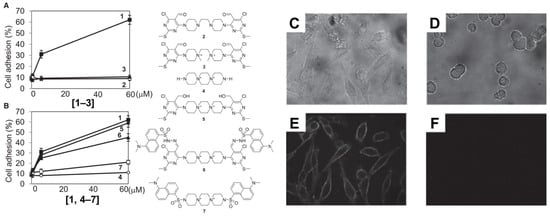 Biomedicines 11 02507 g003