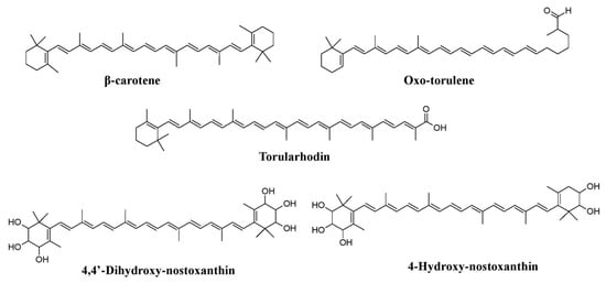 Microorganisms 07 00604 g010 550