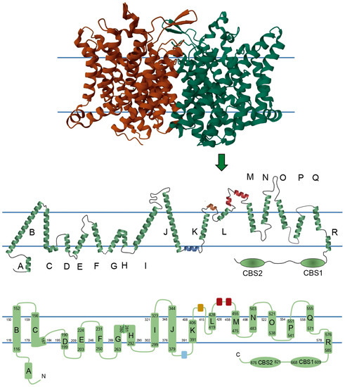 Biomedicines 11 02622 g002