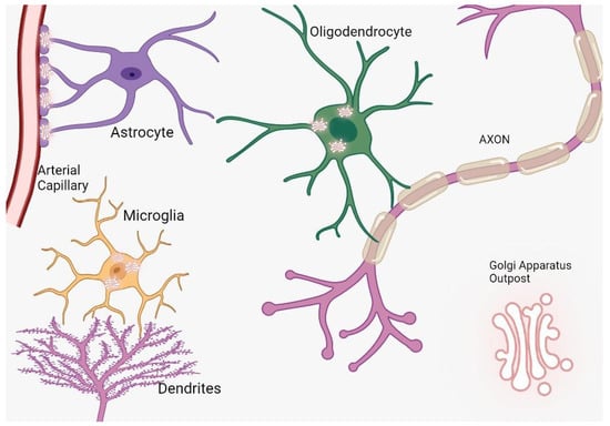 Brainsci 13 01363 g001