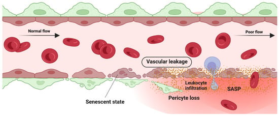 Cells 12 02341 g004