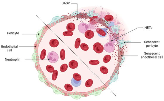 Cells 12 02341 g006