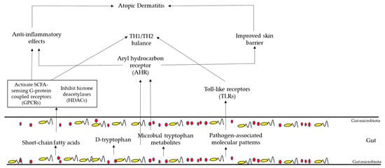 Applsci 13 10540 g003