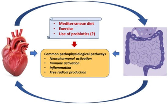 Biomedicines 11 02574 g002