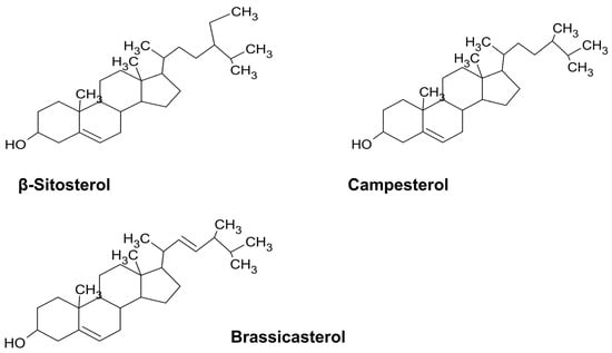 Biomedicines 11 02605 g003