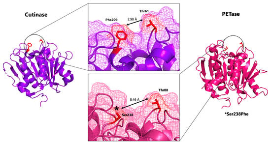 Biomolecules 13 01407 g002